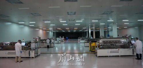 眉山建成國內最大OLED材料生產基地，新材料技術研發(fā)引領產業(yè)升級