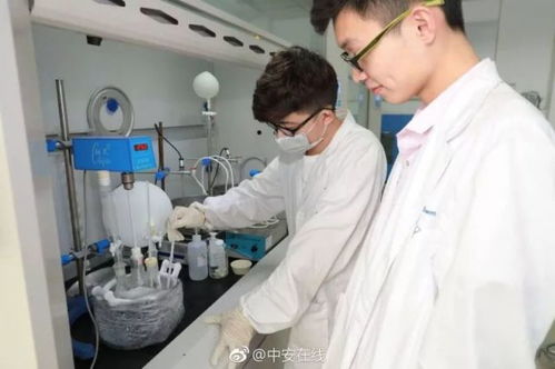 全國(guó)超80%光纖依賴的背后 電子專用材料研發(fā)的隱形冠軍