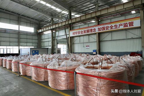 向綠而行，智造未來(lái) 湘潭金龍新材料的技術(shù)創(chuàng)新之路